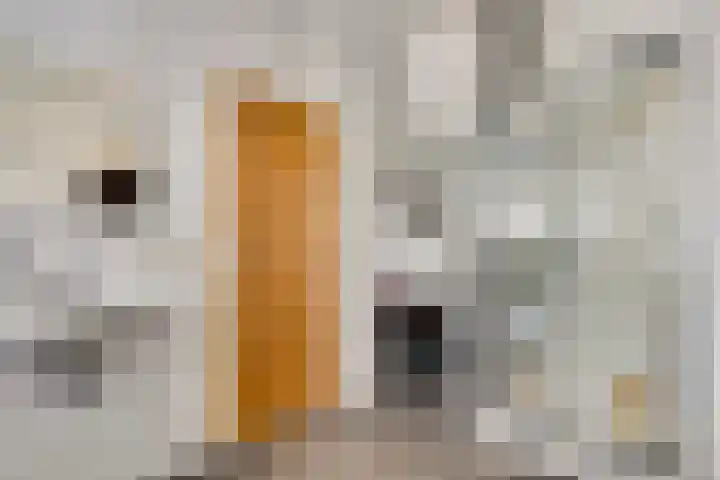 Boven Boukoul 21 Swalmen thumbnail 13