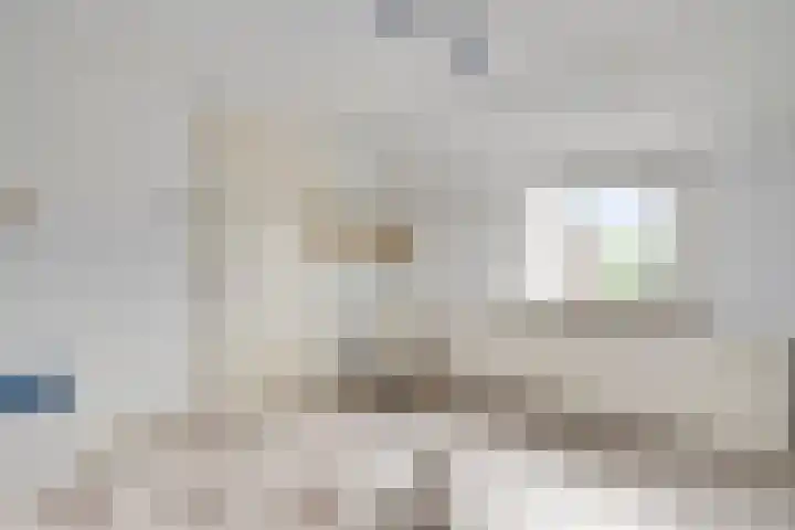 Boven Boukoul 21 Swalmen thumbnail 19