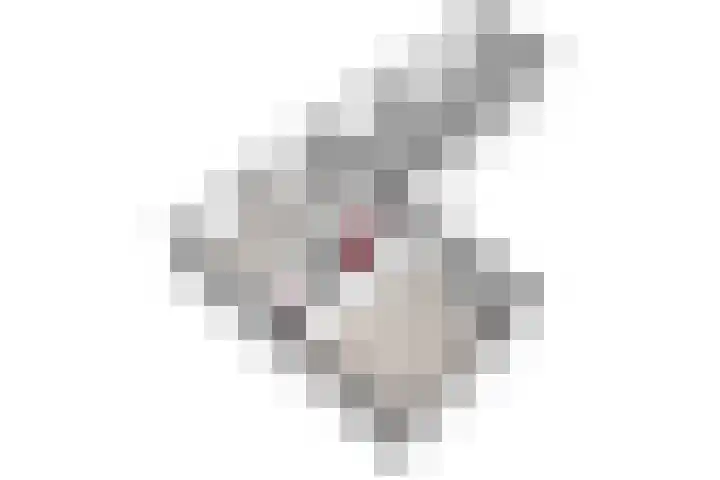 Boven Boukoul 21 Swalmen thumbnail 44