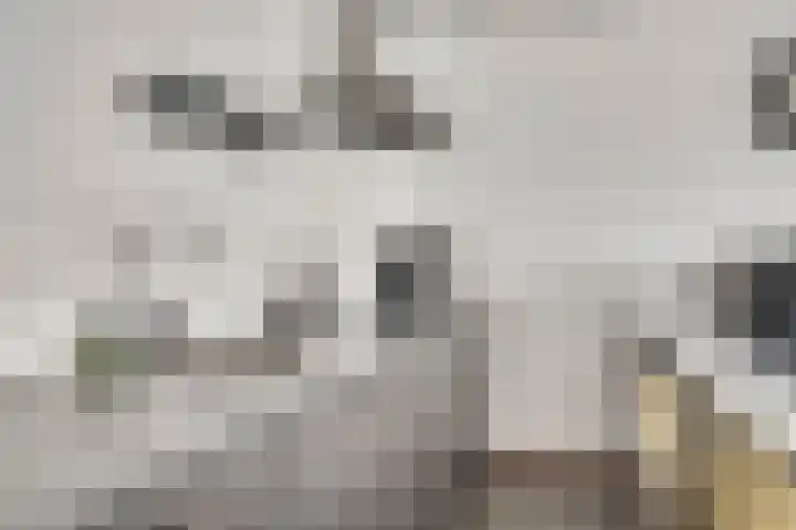 Boven Boukoul 21 Swalmen thumbnail 7