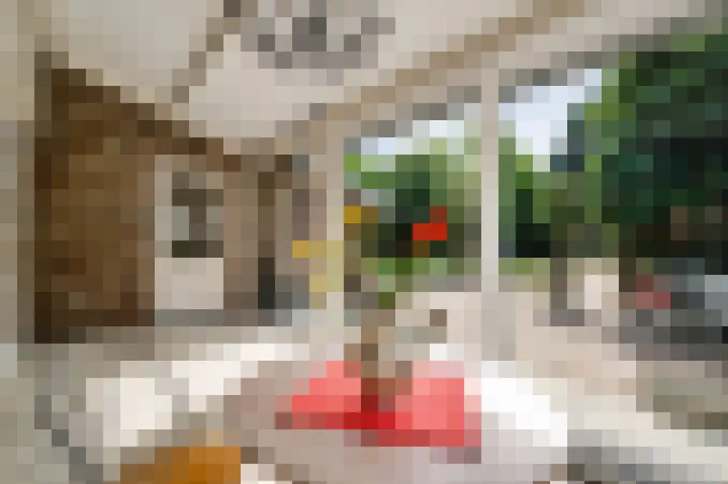 Boven Boukoul 4 Swalmen thumbnail 17
