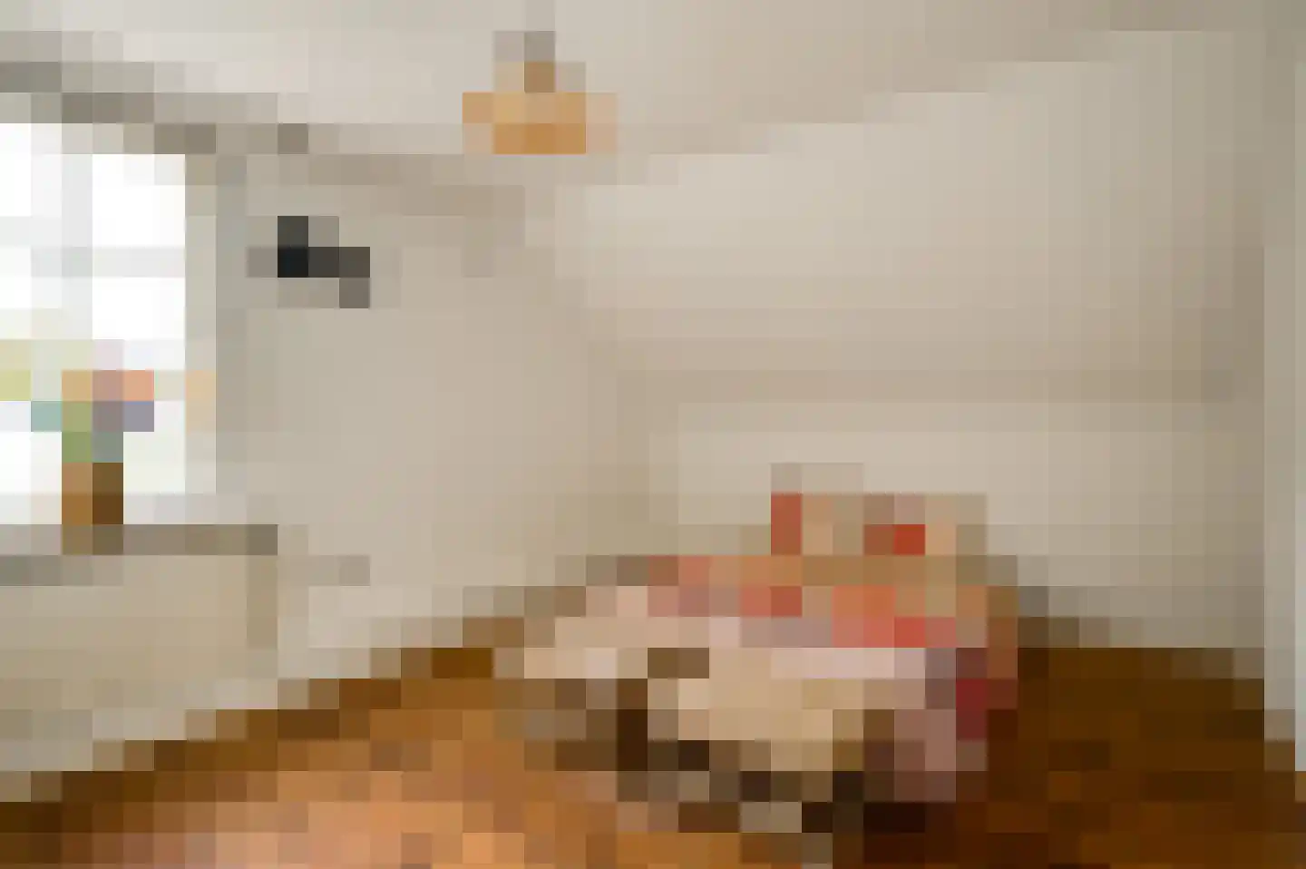 Boven Boukoul 4 Swalmen thumbnail 26