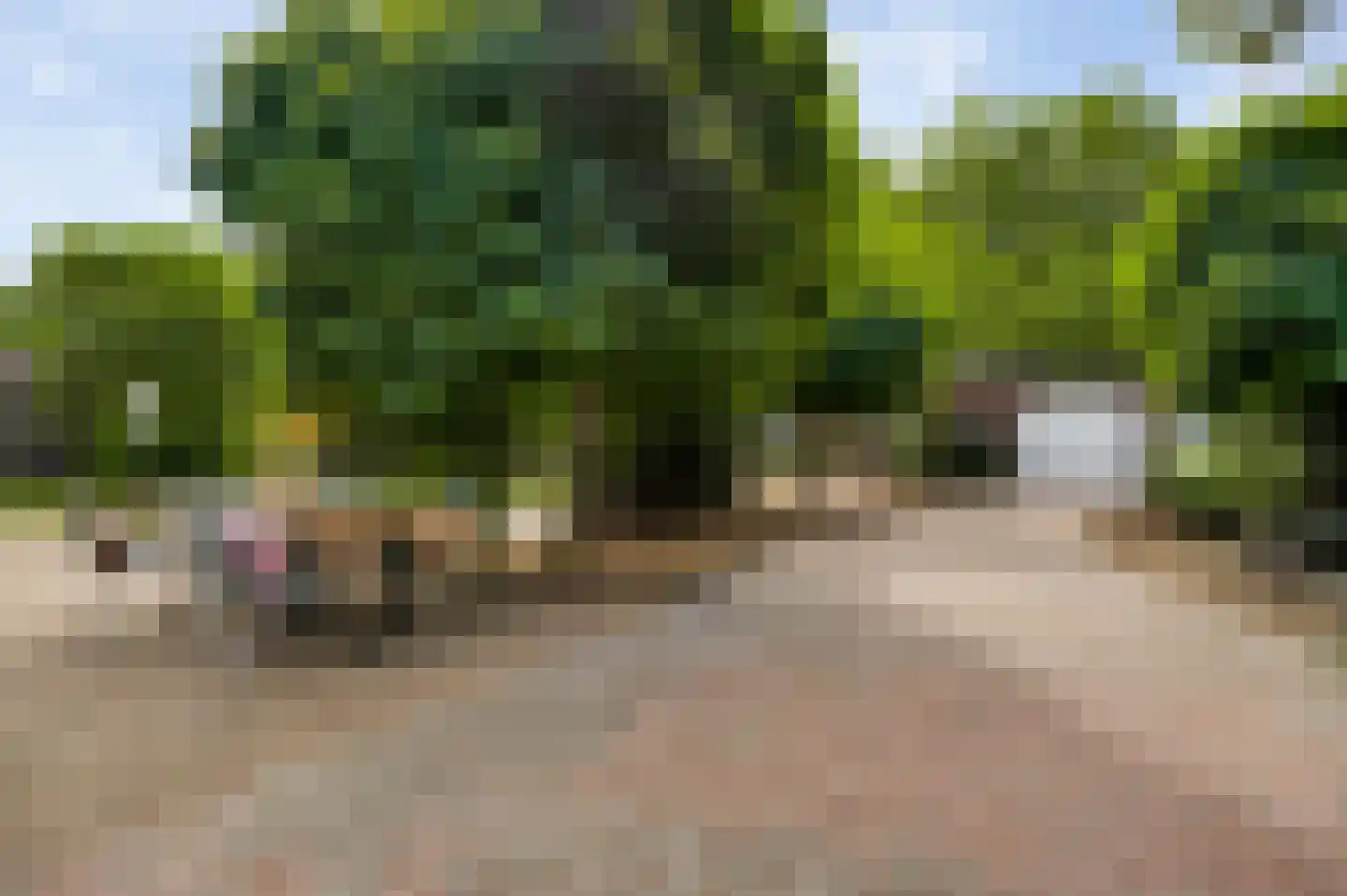 Boven Boukoul 4 Swalmen thumbnail 44