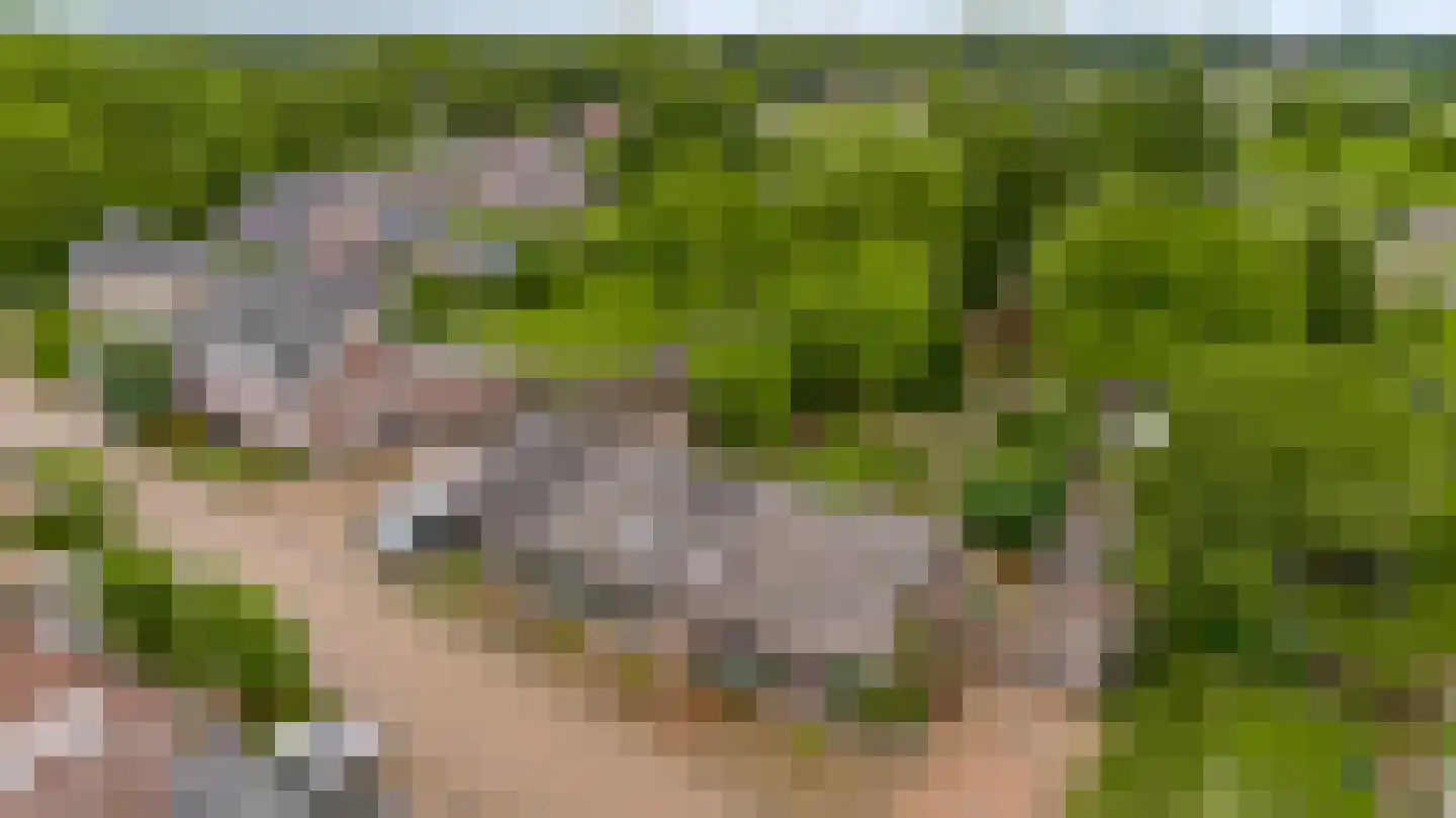 Boven Boukoul 4 Swalmen thumbnail 56
