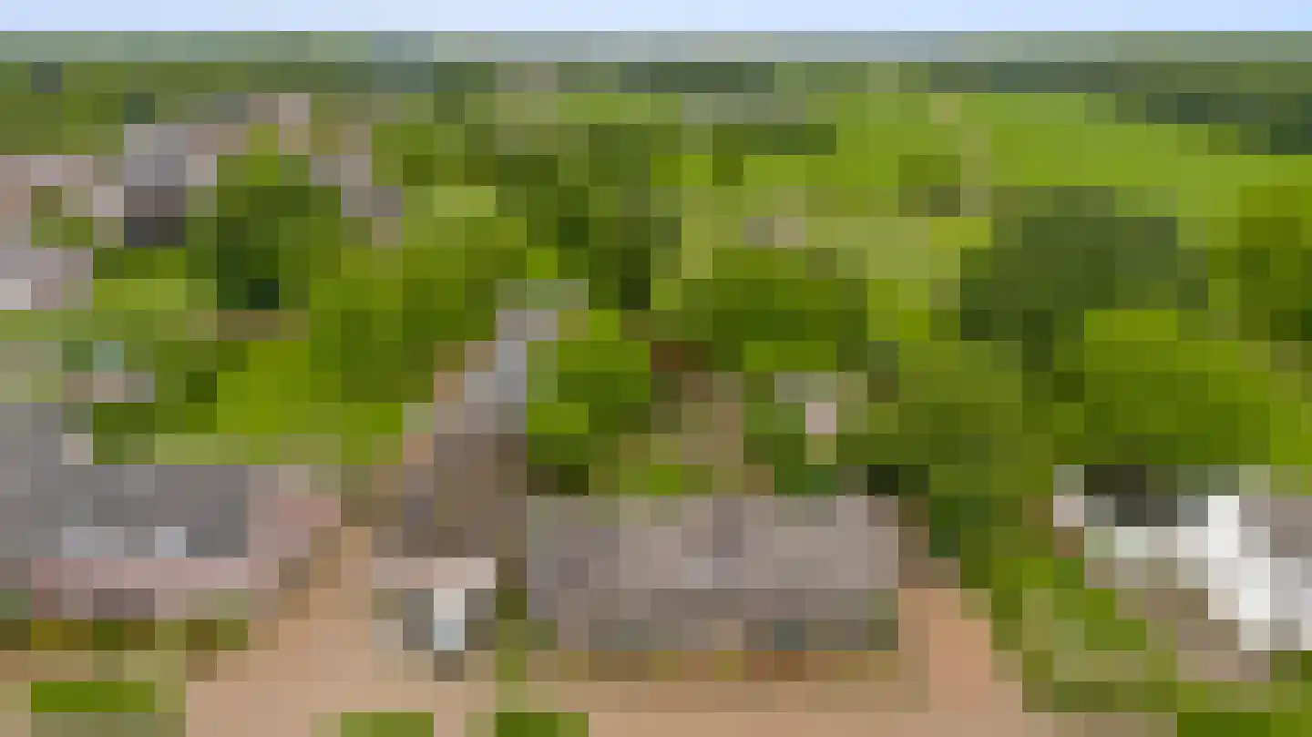 Boven Boukoul 4 Swalmen thumbnail 57