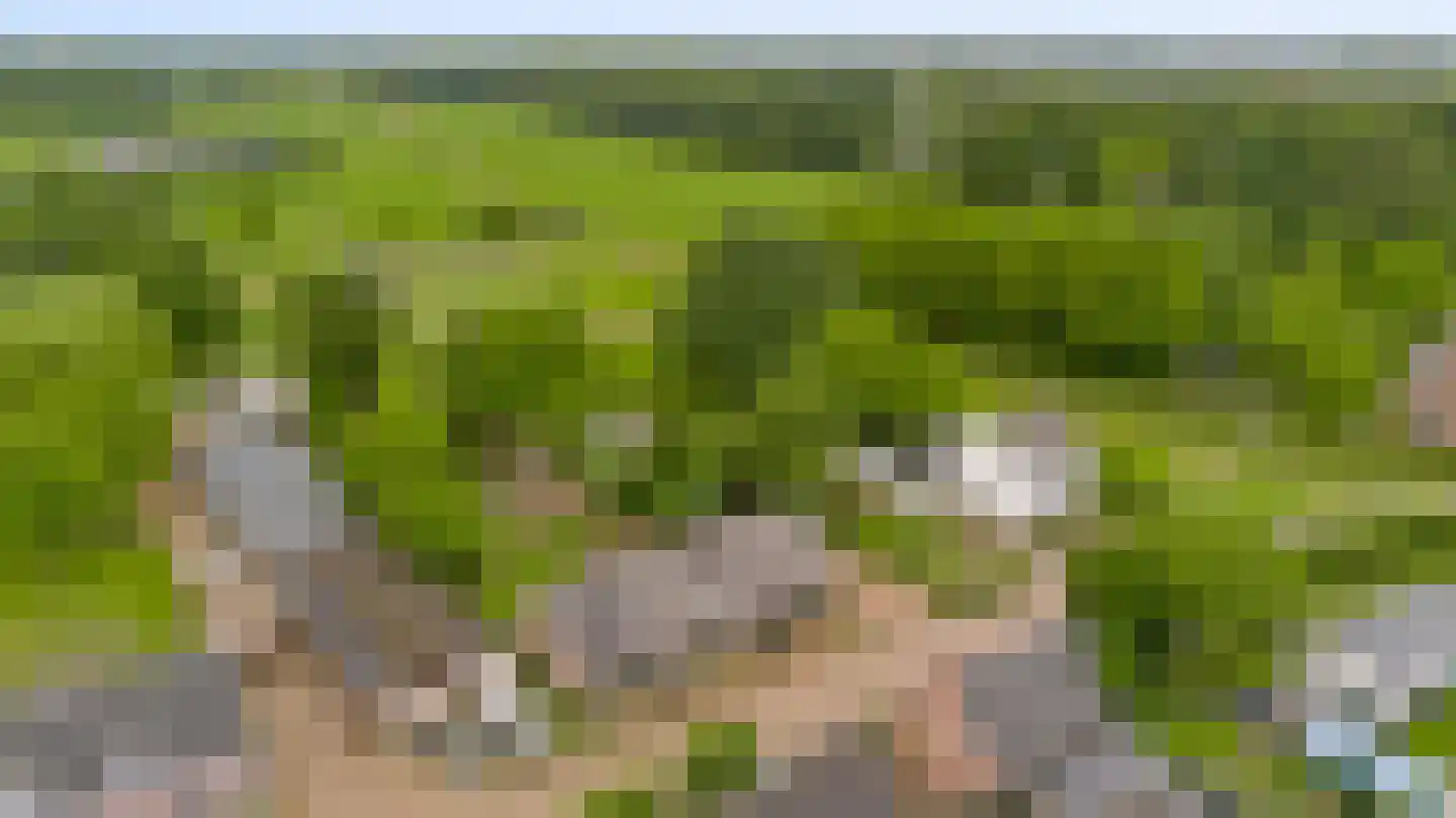 Boven Boukoul 4 Swalmen thumbnail 58