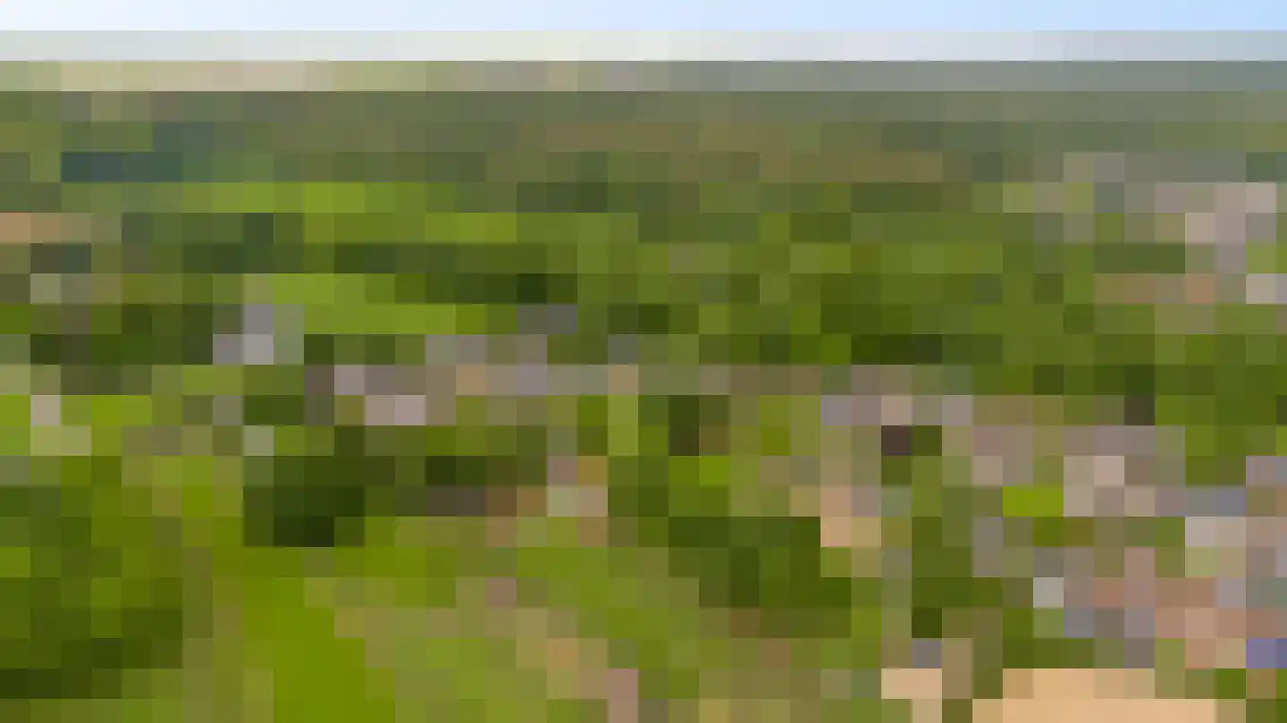 Boven Boukoul 4 Swalmen thumbnail 61