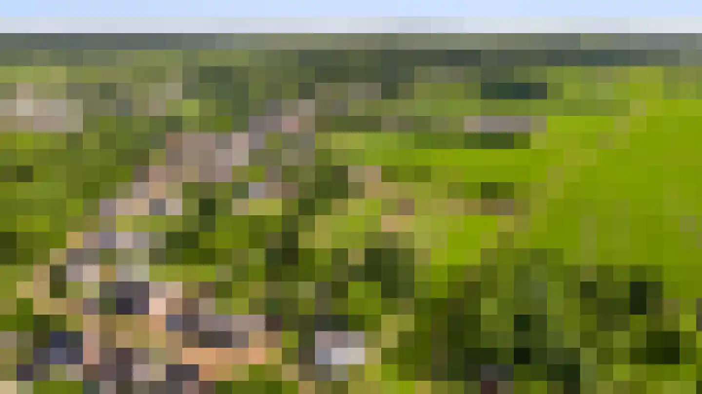 Boven Boukoul 4 Swalmen thumbnail 62