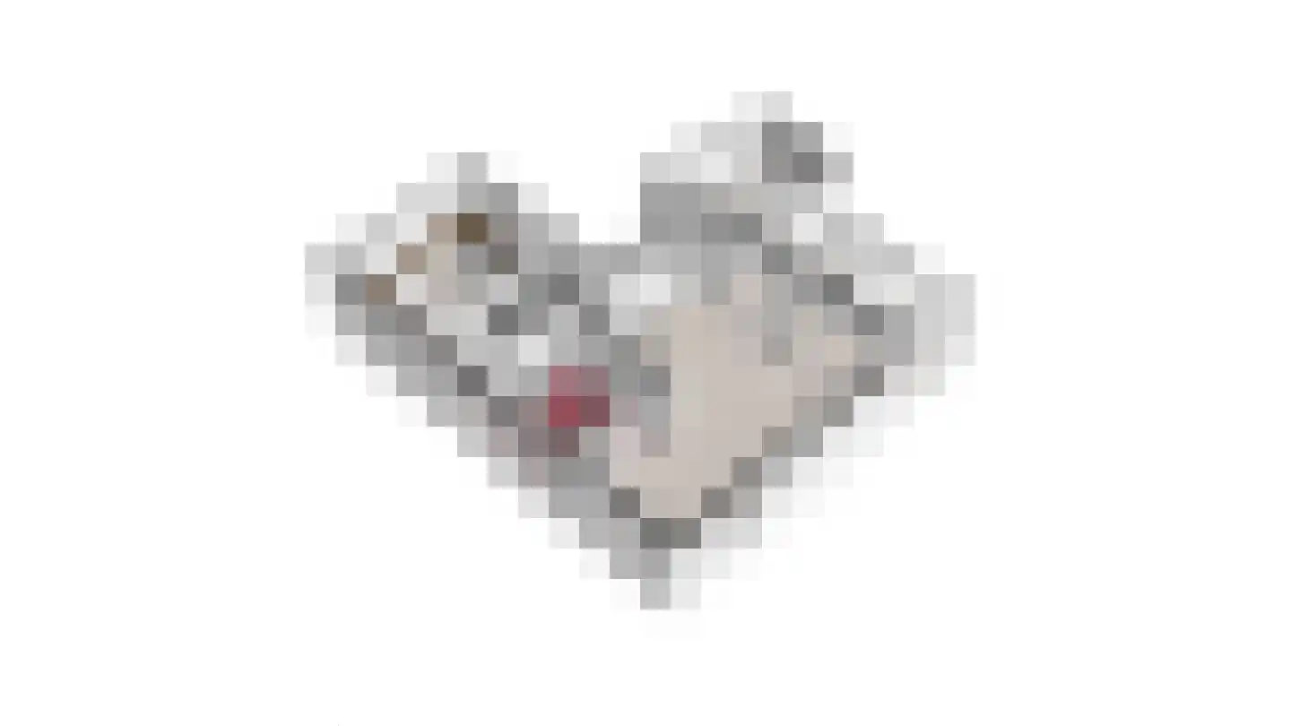 Boven Boukoul 4 Swalmen thumbnail 67