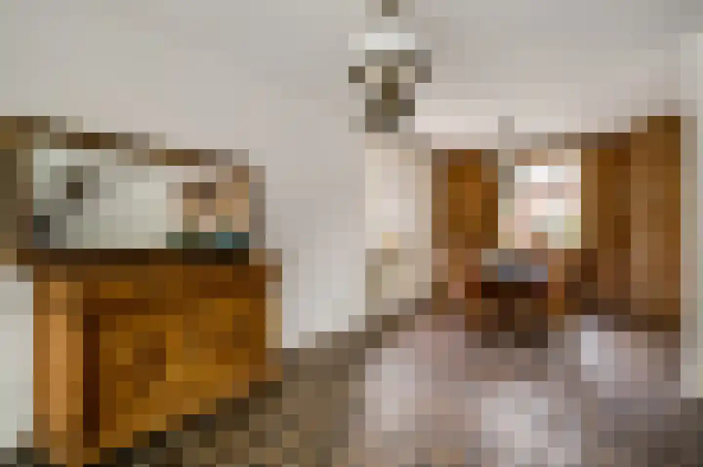 Boven Boukoul 4 Swalmen thumbnail 9