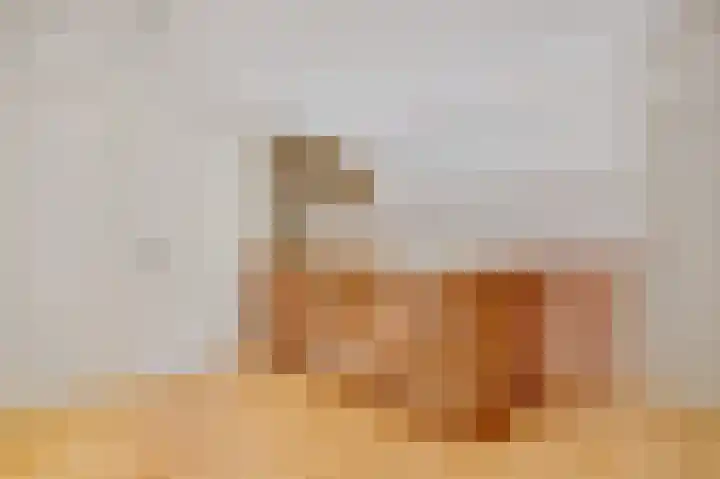 Boven Boukoul 6 A Swalmen thumbnail 31