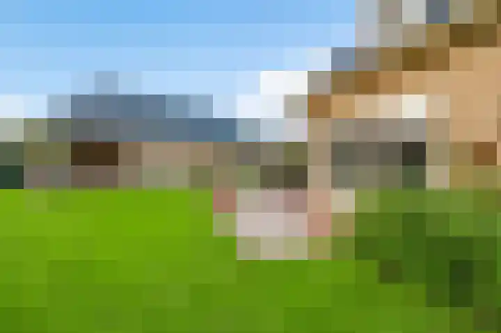 Boven Boukoul 6 A Swalmen thumbnail 40