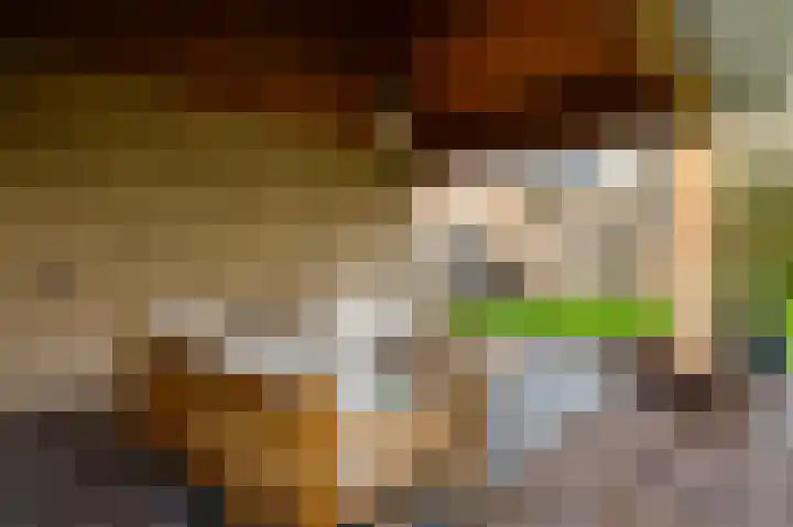 Boven Boukoul 6 A Swalmen thumbnail 43