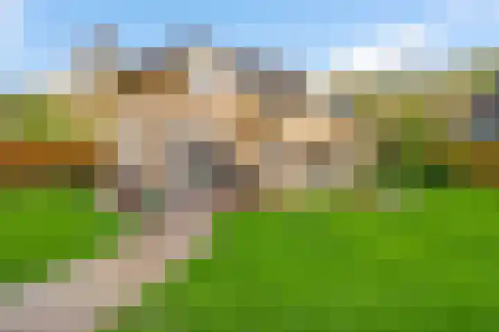 Boven Boukoul 6 A Swalmen thumbnail 45