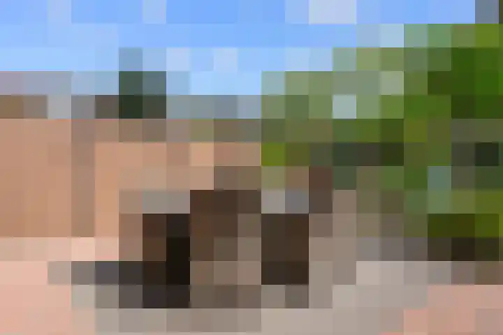 Boven Engweg 19 Harskamp thumbnail 36