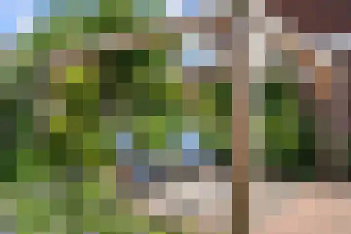 Boven Engweg 19 Harskamp thumbnail 39