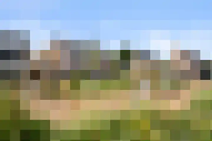 Boven Engweg 26 Harskamp thumbnail 35