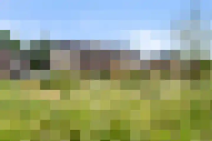 Boven Engweg 26 Harskamp thumbnail 36