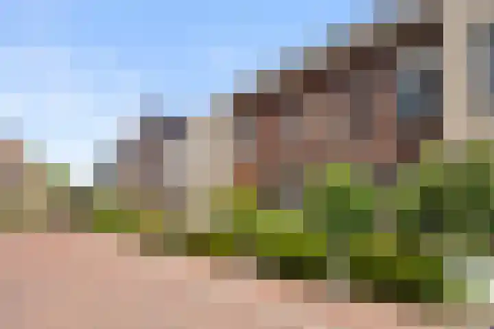 Boven Engweg 26 Harskamp thumbnail 4