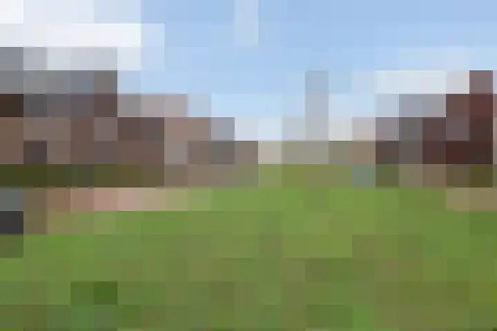 Boven Engweg 7 Harskamp thumbnail 32