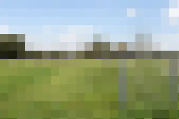 Boven Engweg 7 Harskamp thumbnail 33