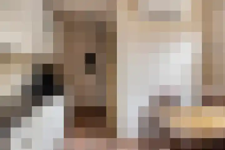 Boven Nieuwstraat 12 Kampen thumbnail 20