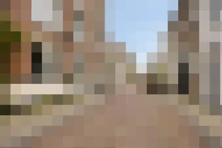 Boven Nieuwstraat 12 Kampen thumbnail 48