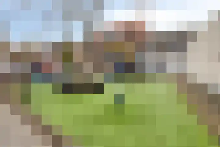 Boven Nieuwstraat 12 Kampen thumbnail 50