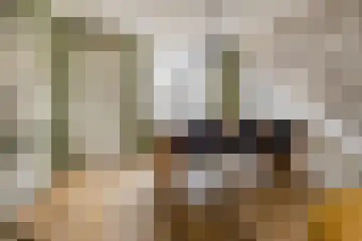 Boven Nieuwstraat 12 Kampen thumbnail 9