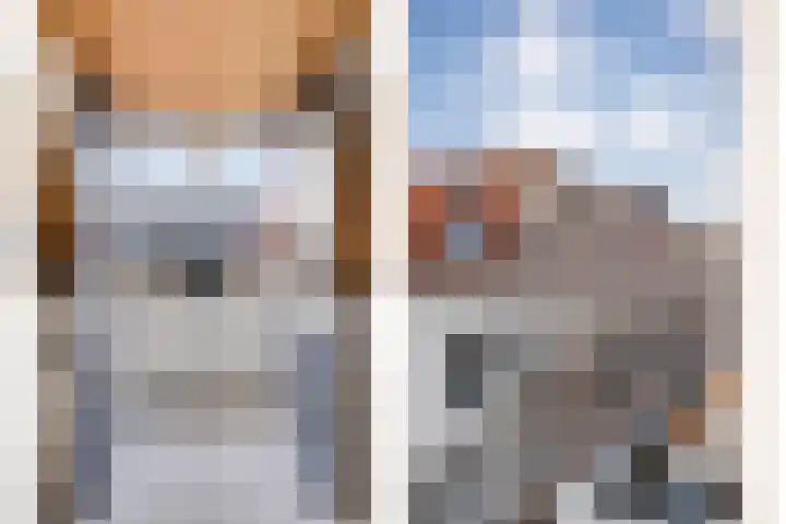 Boven Nieuwstraat 27 Kampen thumbnail 26