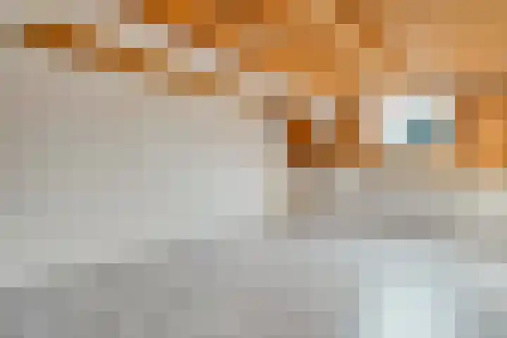Boven Nieuwstraat 27 Kampen thumbnail 27