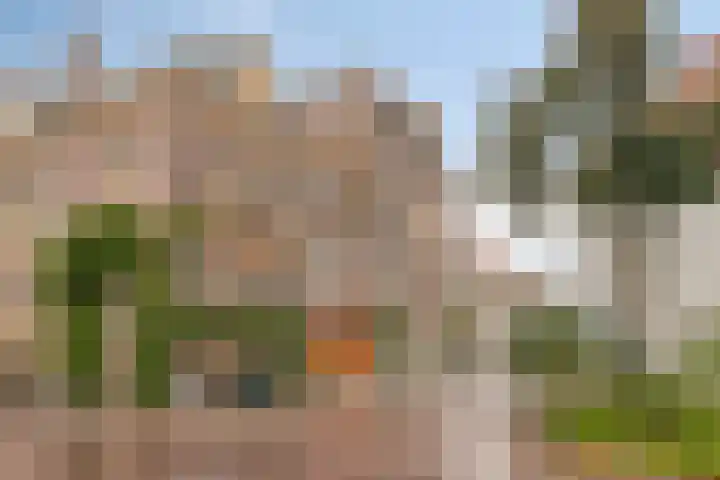 Boven Nieuwstraat 32 Kampen thumbnail 29