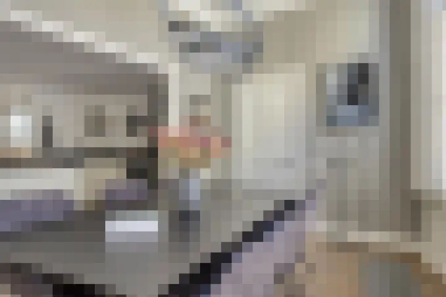 Boven Nieuwstraat 37 Kampen thumbnail 20