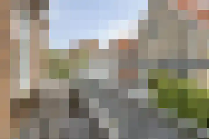 Boven Nieuwstraat 5 01 Kampen thumbnail 10