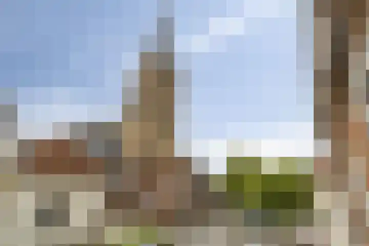 Boven Nieuwstraat 5 01 Kampen thumbnail 12