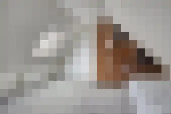 Boven Nieuwstraat 5 01 Kampen thumbnail 26