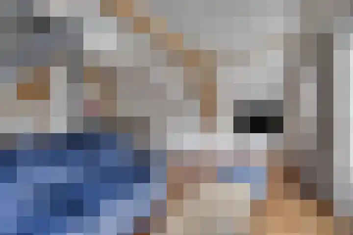 Boven Nieuwstraat 5 01 Kampen thumbnail 7