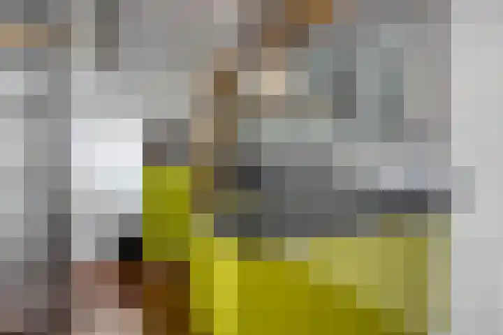 Boven Nieuwstraat 5 01 Kampen thumbnail 8