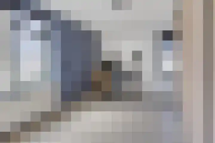 Boven Nieuwstraat 6 06 Kampen thumbnail 15