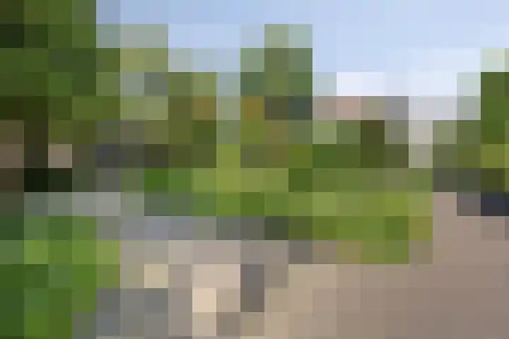 Boven Nieuwstraat 6 06 Kampen thumbnail 24