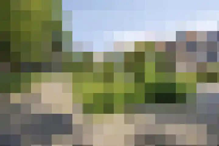Boven Nieuwstraat 6 06 Kampen thumbnail 25