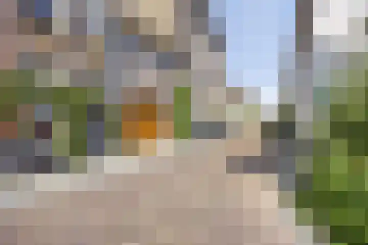 Boven Nieuwstraat 6 06 Kampen thumbnail 26