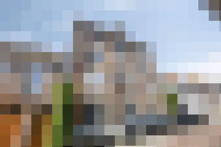 Boven Nieuwstraat 6 06 Kampen thumbnail 27