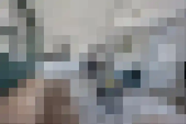 Boven Nieuwstraat 6 06 Kampen thumbnail 5