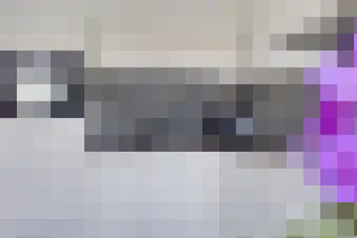 Boven Nieuwstraat 6 06 Kampen thumbnail 7