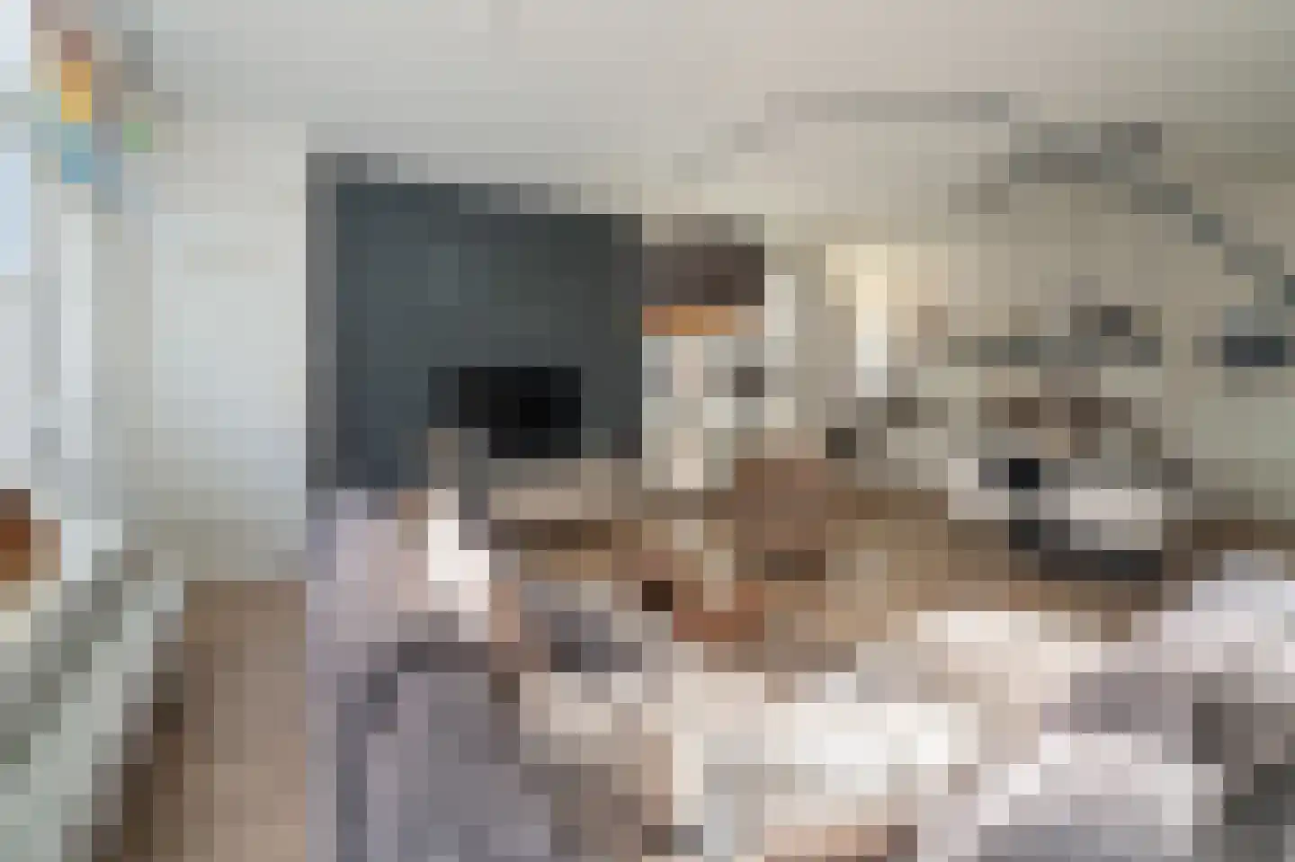 Boven Nieuwstraat 76 Kampen thumbnail 4