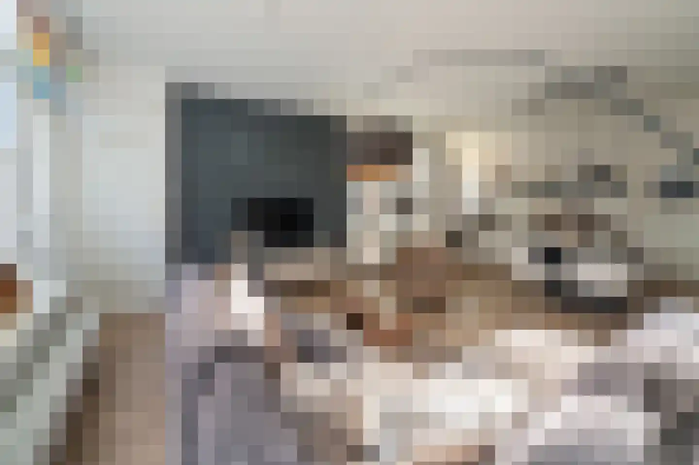 Boven Nieuwstraat 76 Kampen thumbnail 9