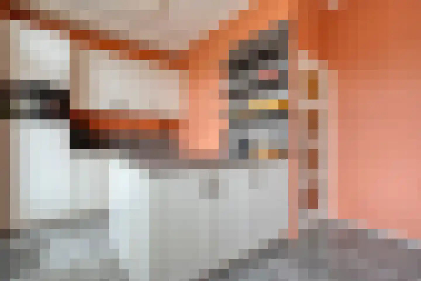 Boven Nieuwstraat 89 Kampen thumbnail 12