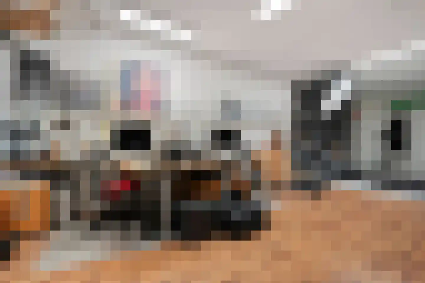 Boven Nieuwstraat 89 Kampen thumbnail 28