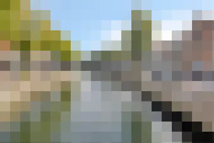 Boven Nieuwstraat 99 01 Kampen thumbnail 49